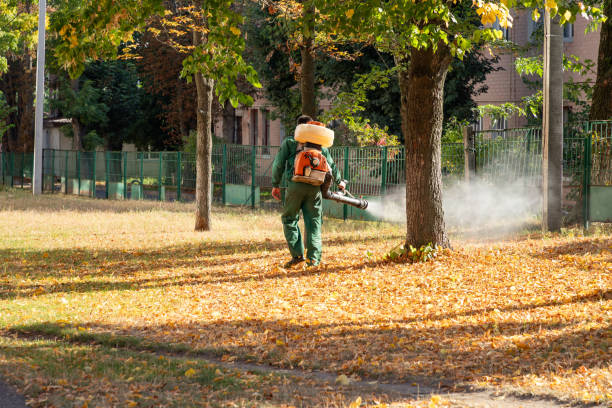 Best Pest Removal Services  in Hlside, IL
